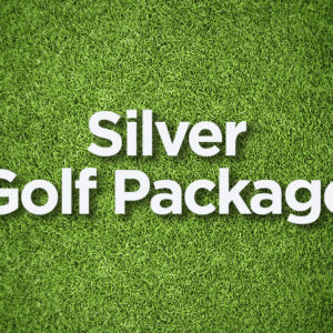 Silver Level