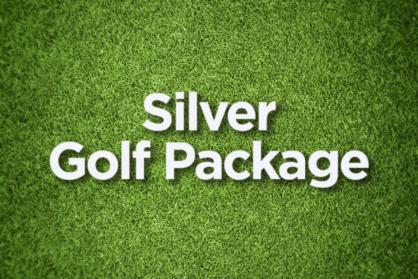 Silver Level